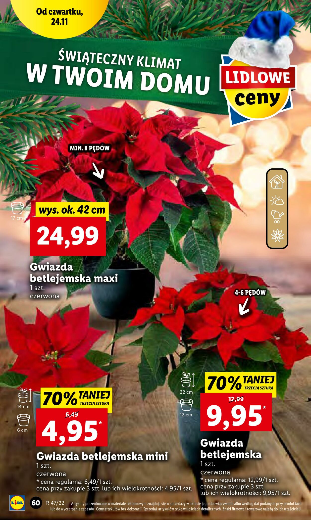 Gazetka Lidl 24.11.2022 - 26.11.2022