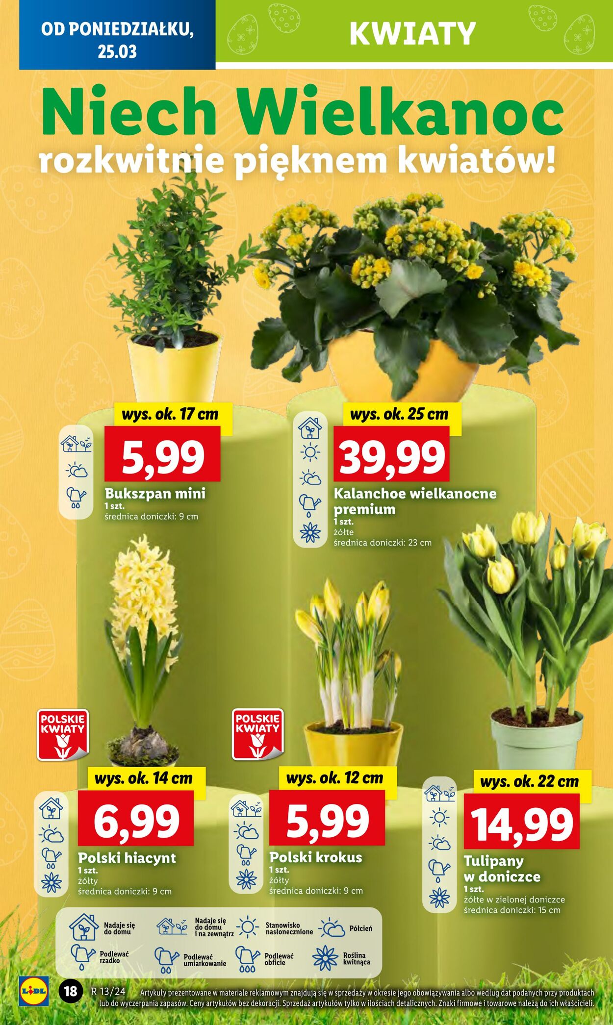 Gazetka Lidl 25.03.2024 - 27.03.2024