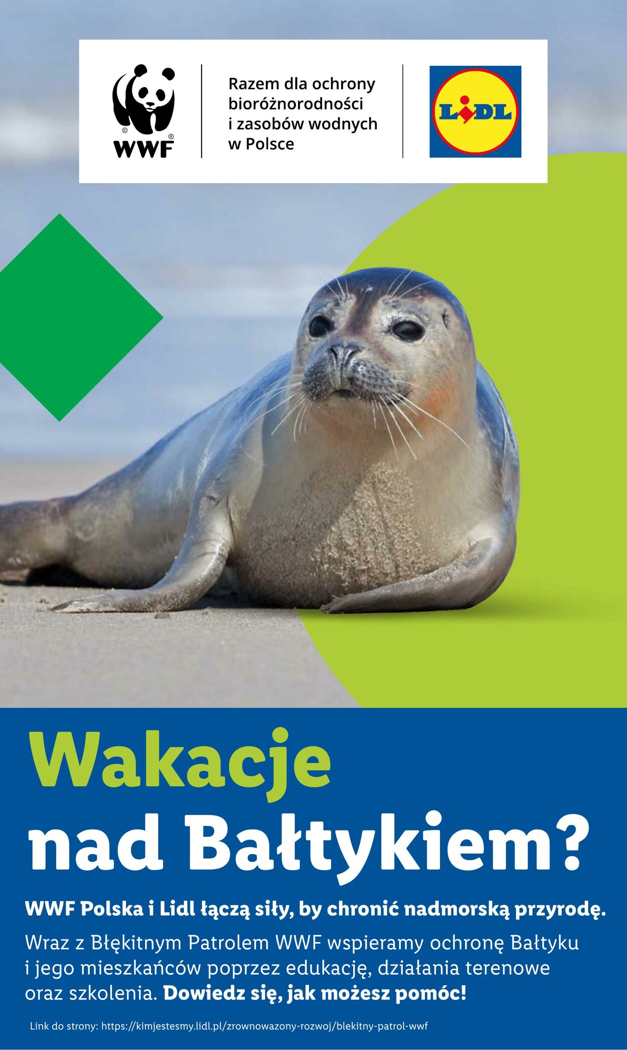 Gazetka Lidl 28.07.2025 - 02.08.2025