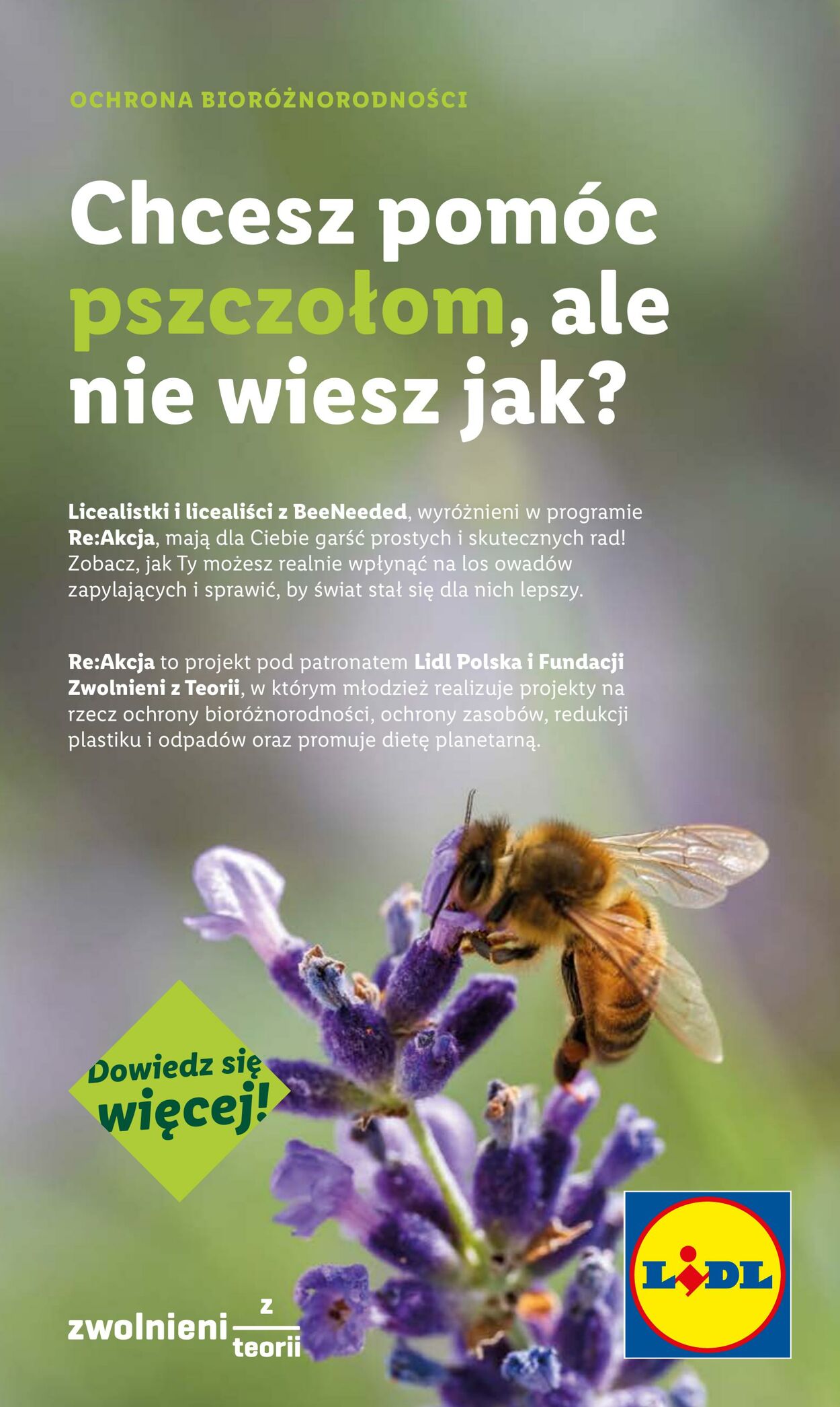 Gazetka Lidl 28.07.2025 - 02.08.2025