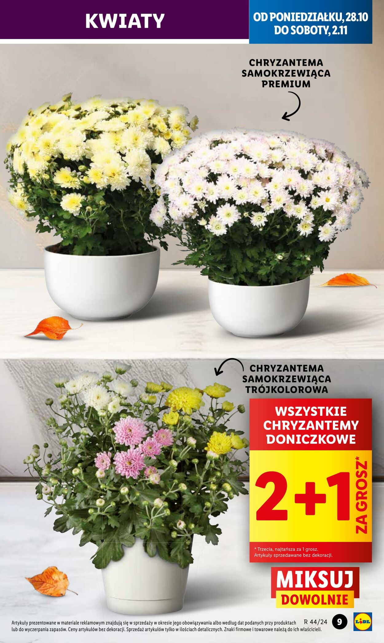 Gazetka Lidl 28.10.2024 - 29.10.2024