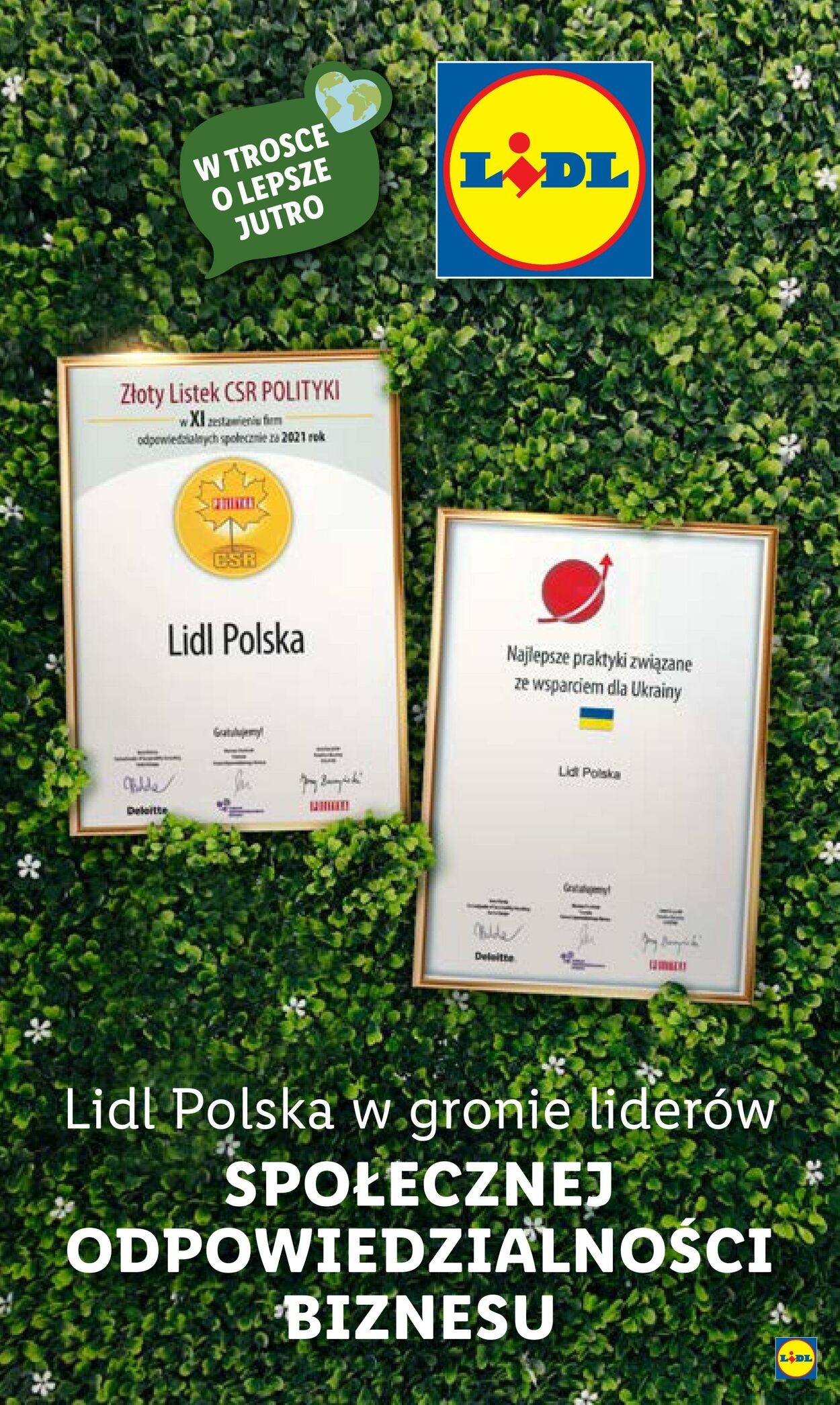 Gazetka Lidl 29.08.2022 - 03.09.2022