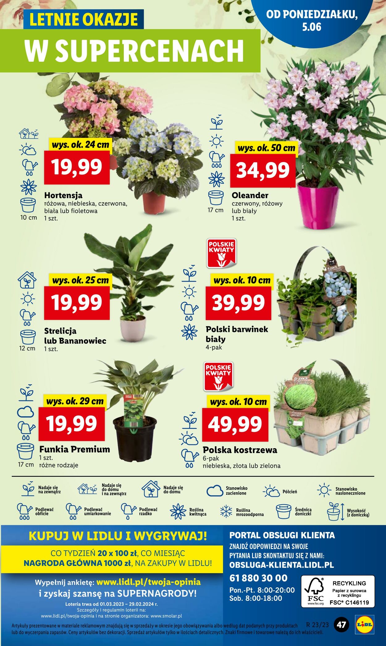 Gazetka Lidl 05.06.2023 - 07.06.2023