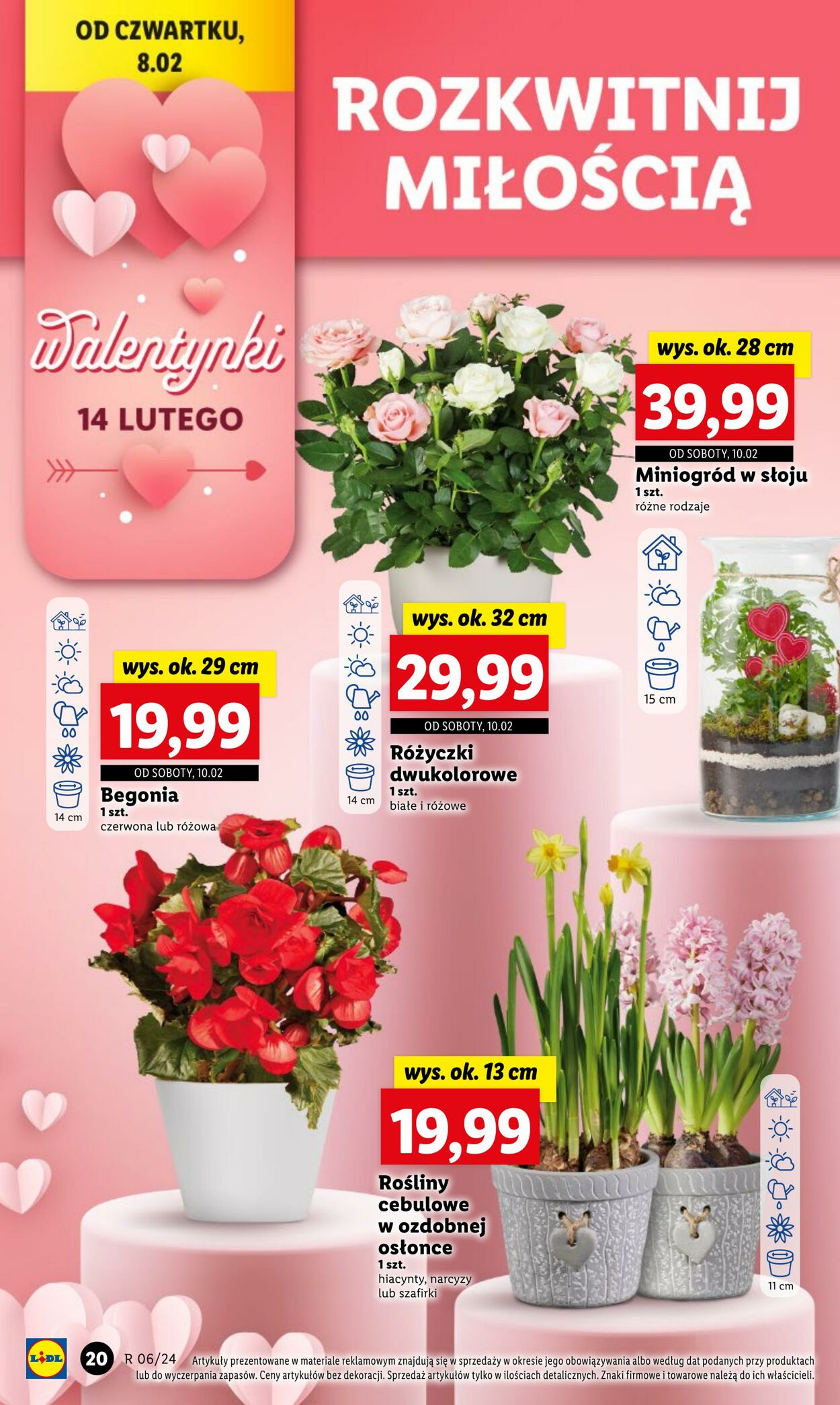 Gazetka Lidl 08.02.2024 - 10.02.2024