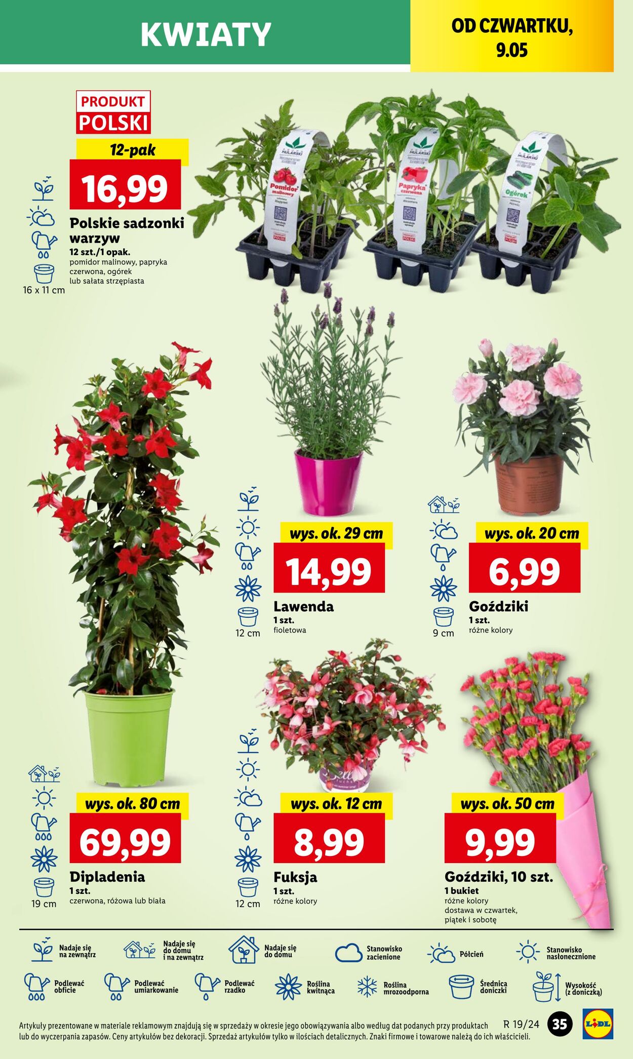 Gazetka Lidl 09.05.2024 - 11.05.2024