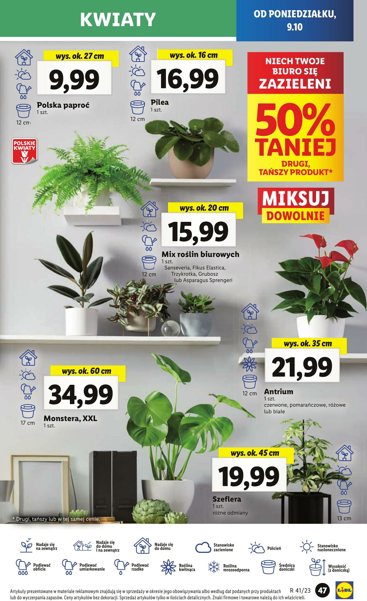 Gazetka Lidl 09.10.2023 - 11.10.2023