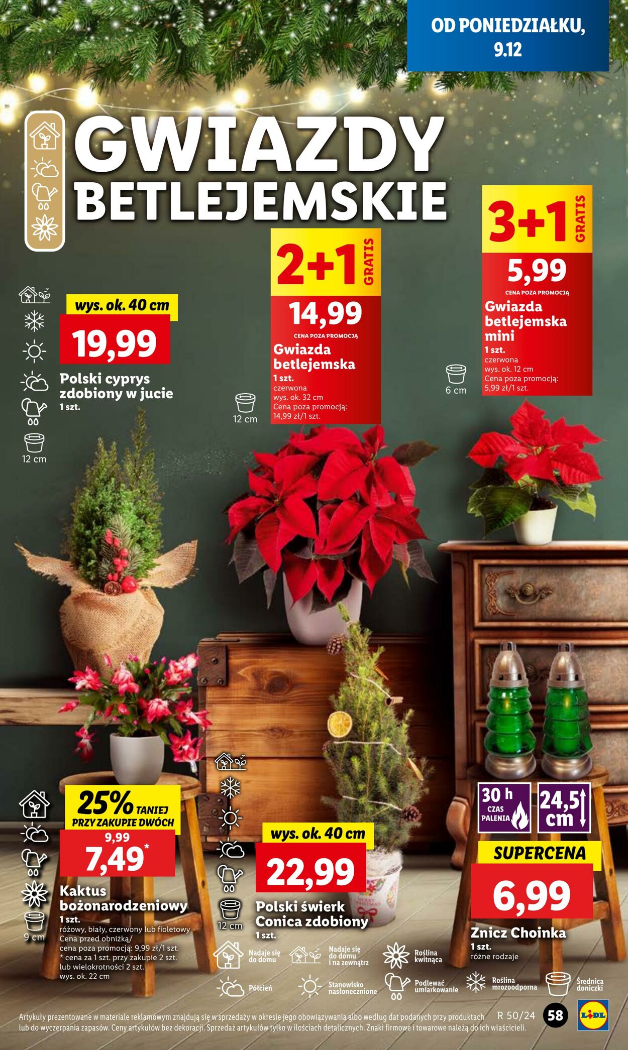 Gazetka Lidl 09.12.2024 - 11.12.2024