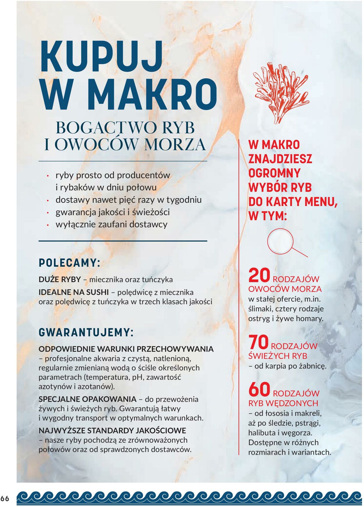 Gazetka Makro 24.06.2024 - 08.07.2024