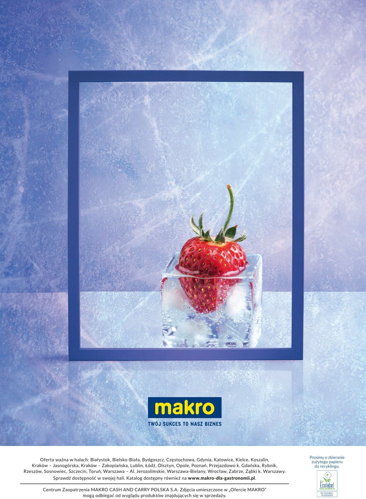 Gazetka Makro 03.06.2024 - 31.08.2024