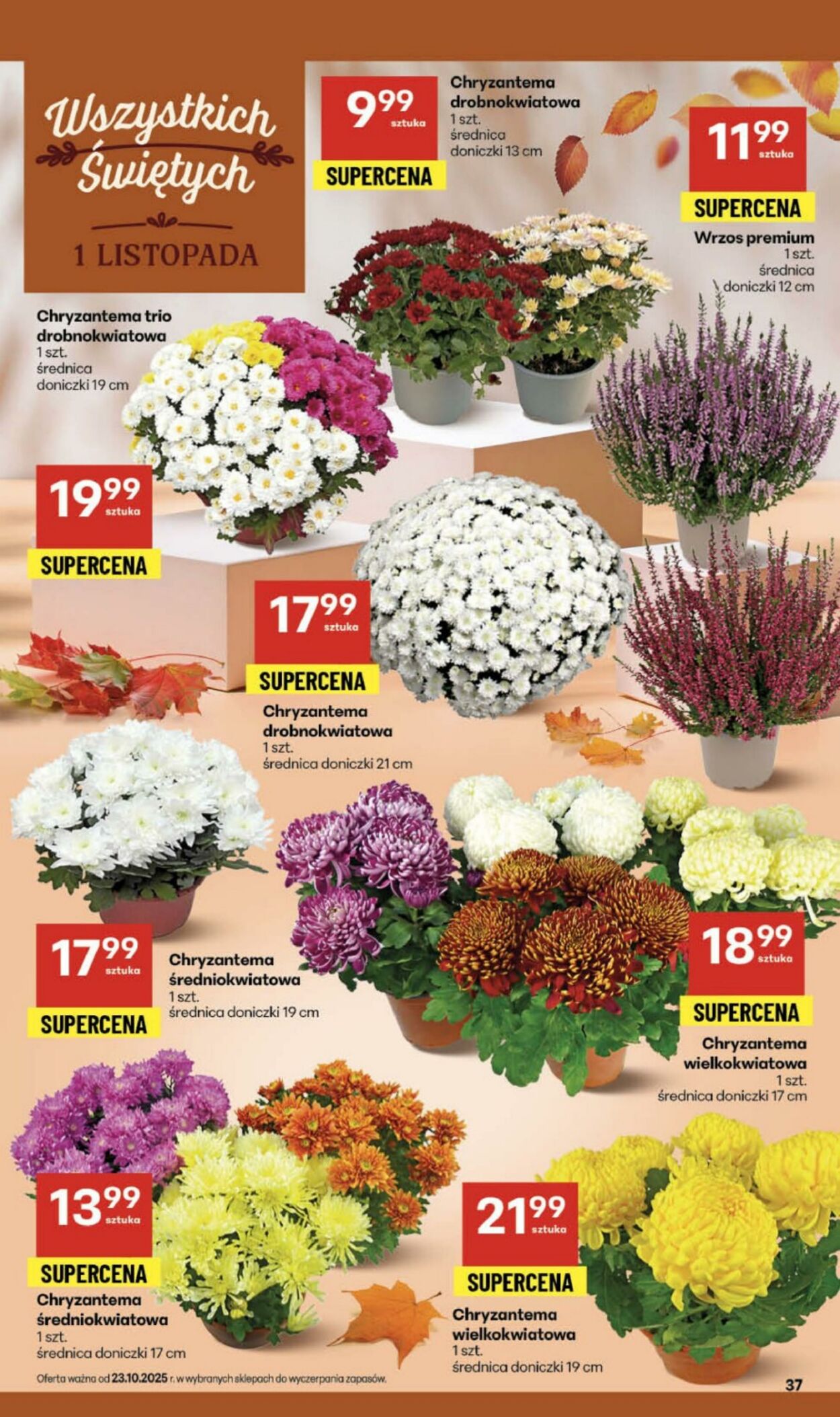 Gazetka Delikatesy Centrum 23.10.2025 - 29.10.2025