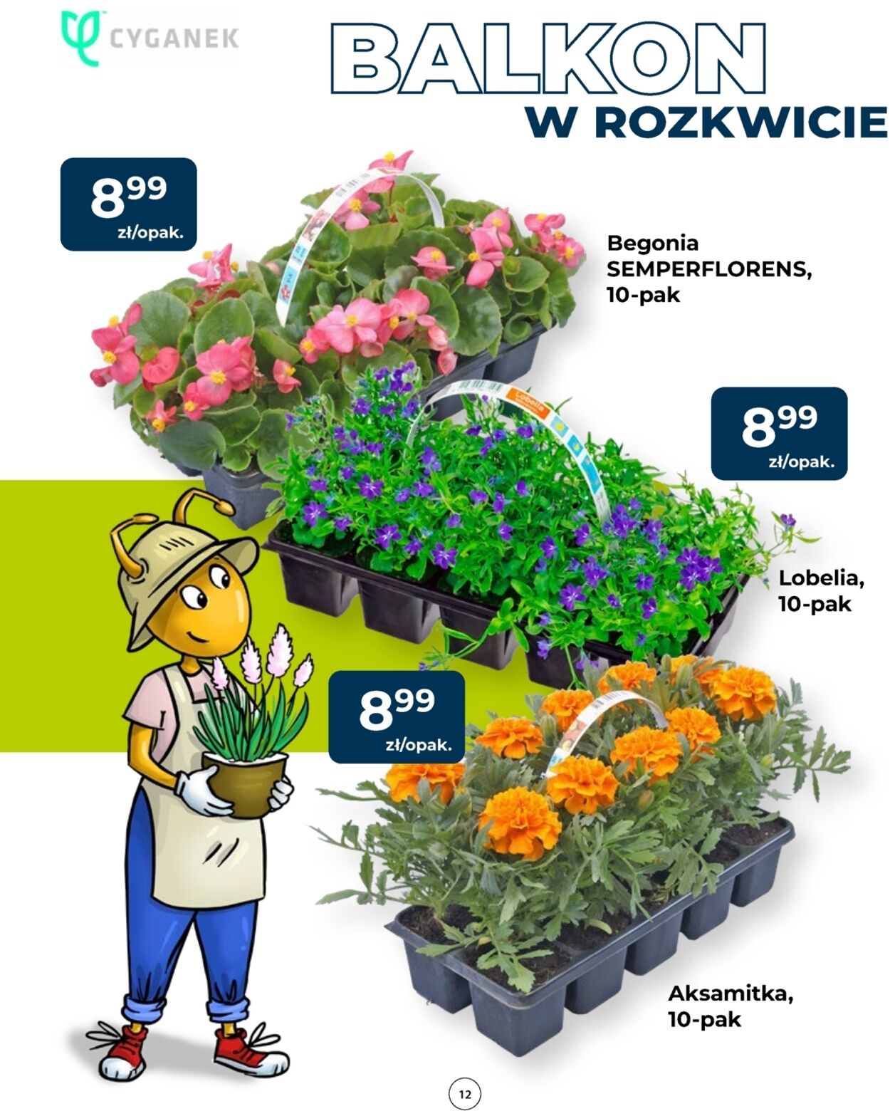 Gazetka Mrówka 23.04.2026 - 02.05.2026