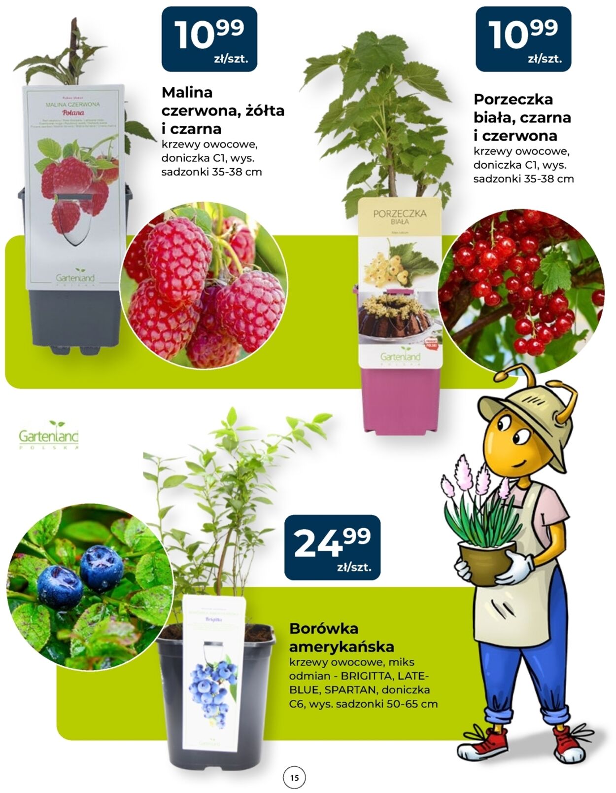 Gazetka Mrówka 23.04.2026 - 02.05.2026