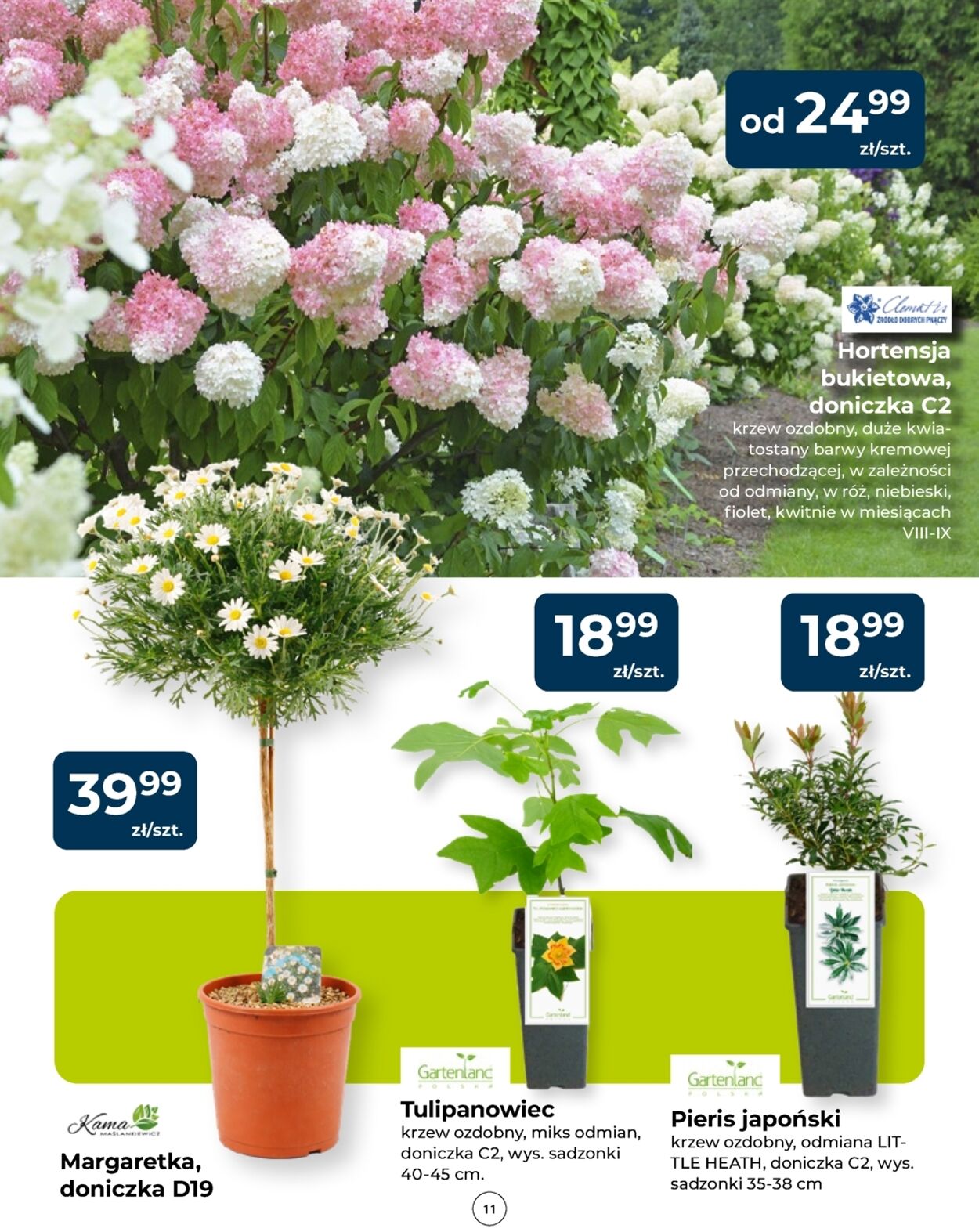 Gazetka Mrówka 23.04.2026 - 02.05.2026