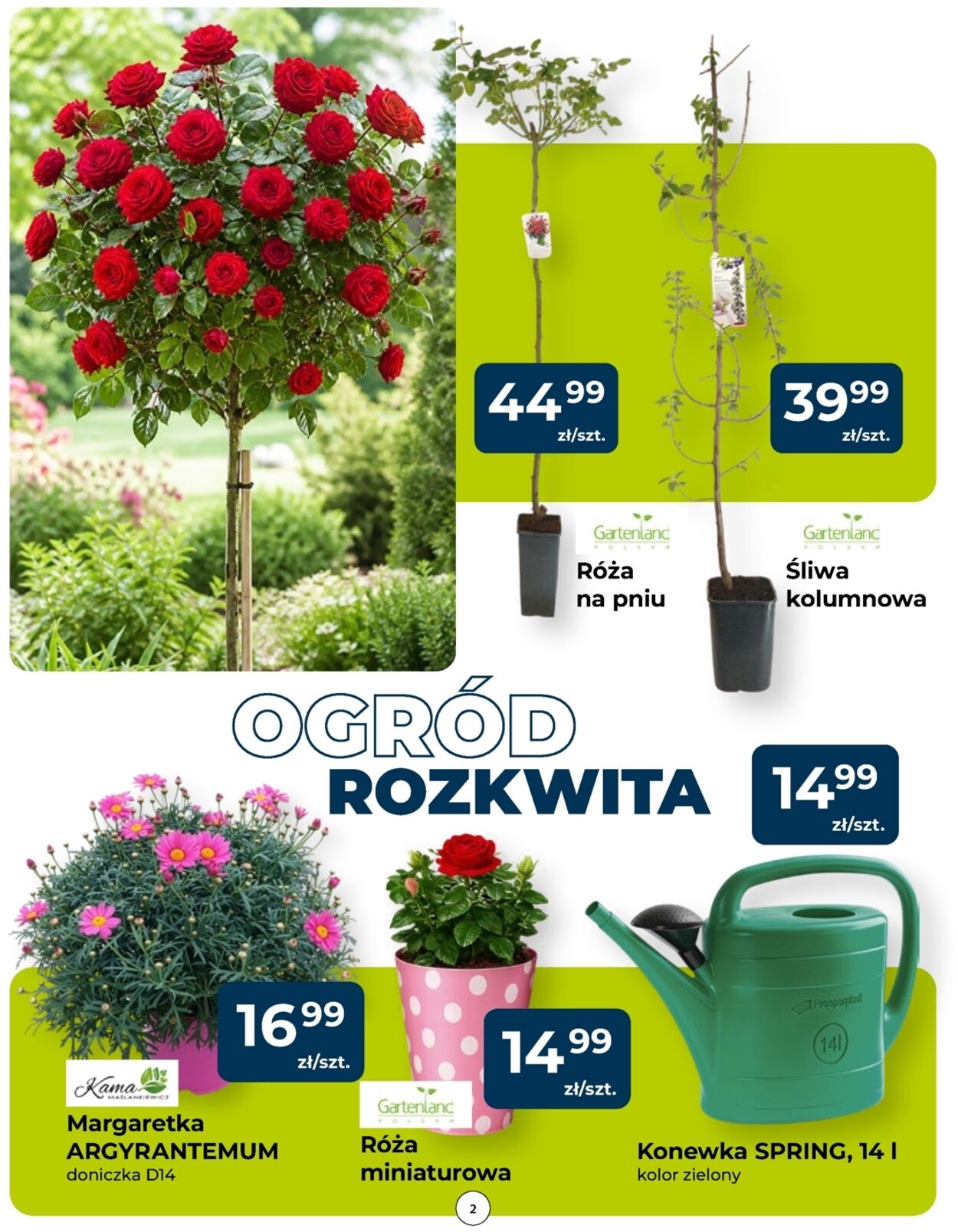 Gazetka Mrówka 14.05.2026 - 23.05.2026