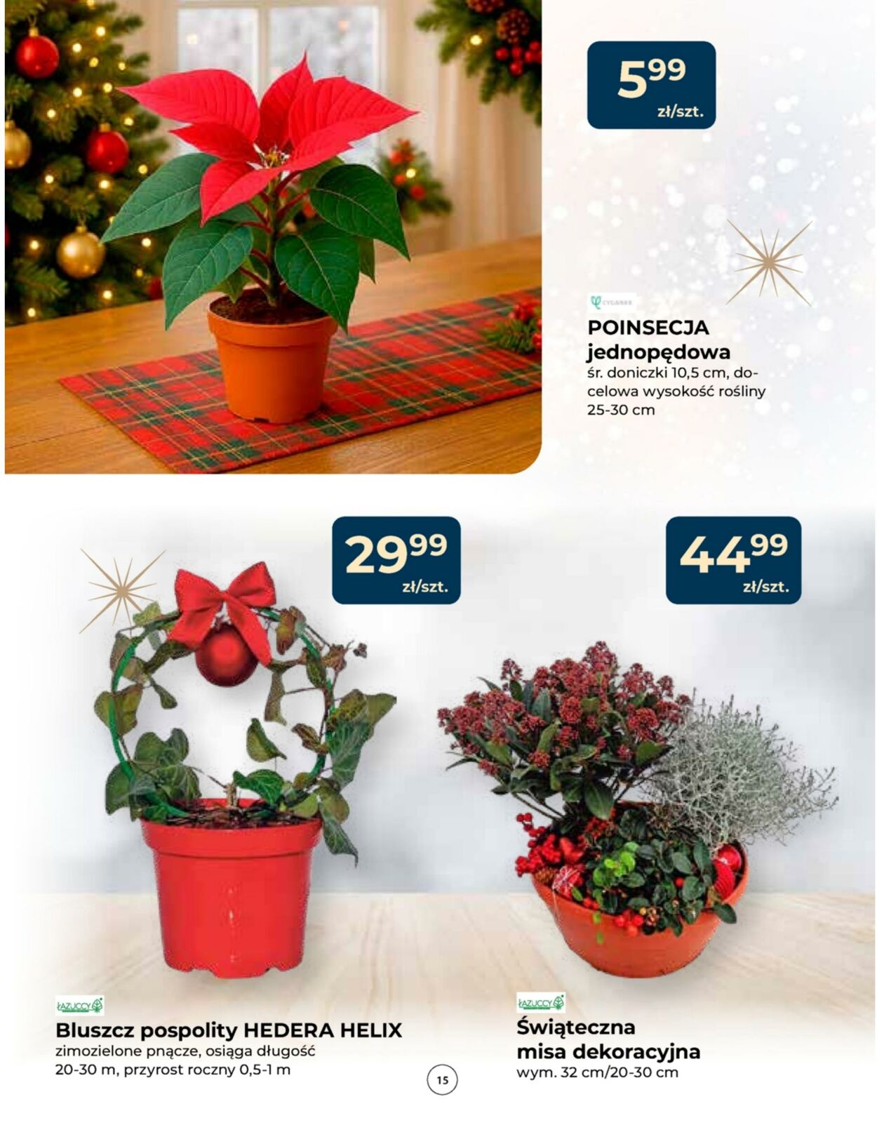 Gazetka Mrówka 04.12.2025 - 14.12.2025