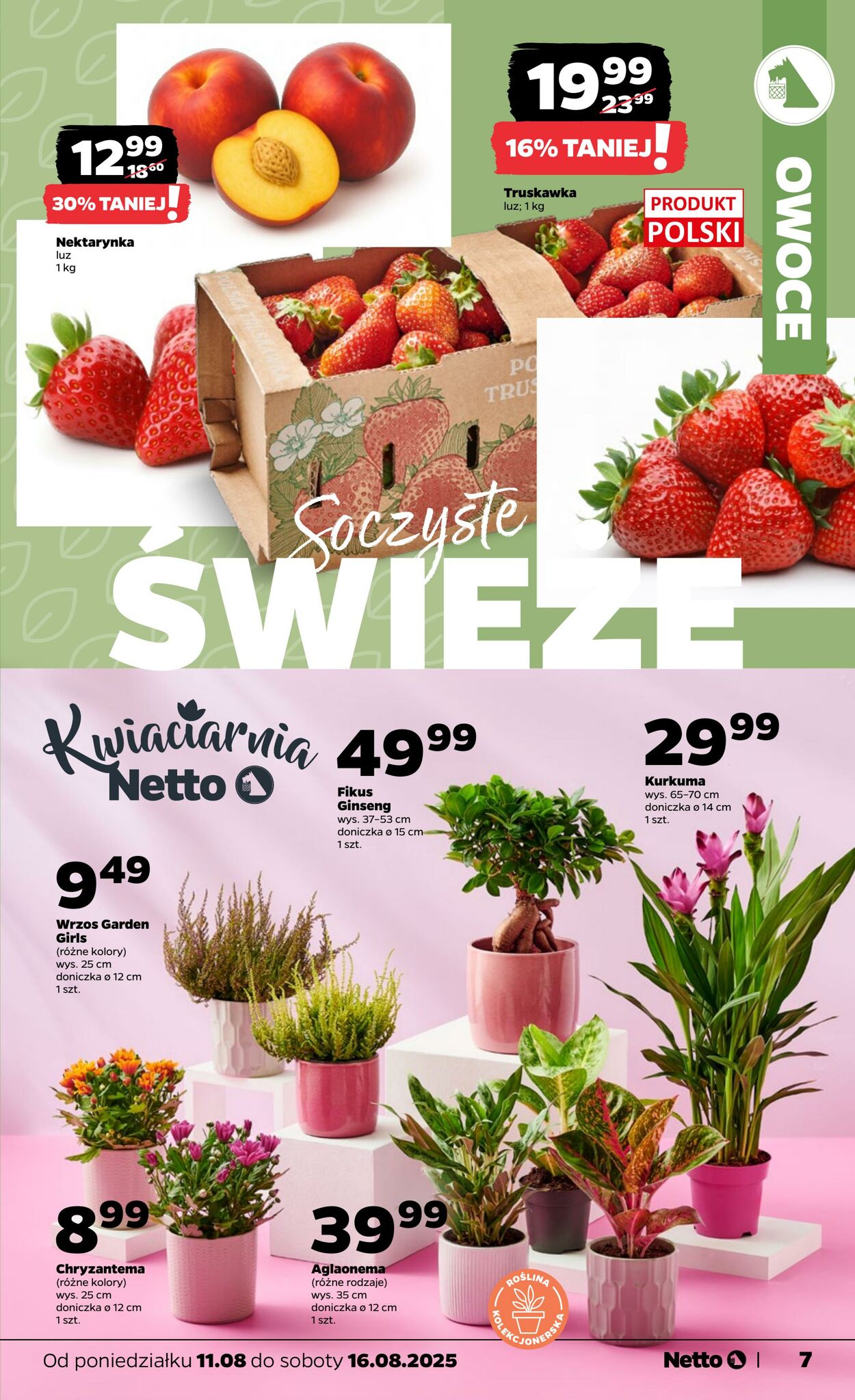 Gazetka Netto 11.08.2025 - 16.08.2025