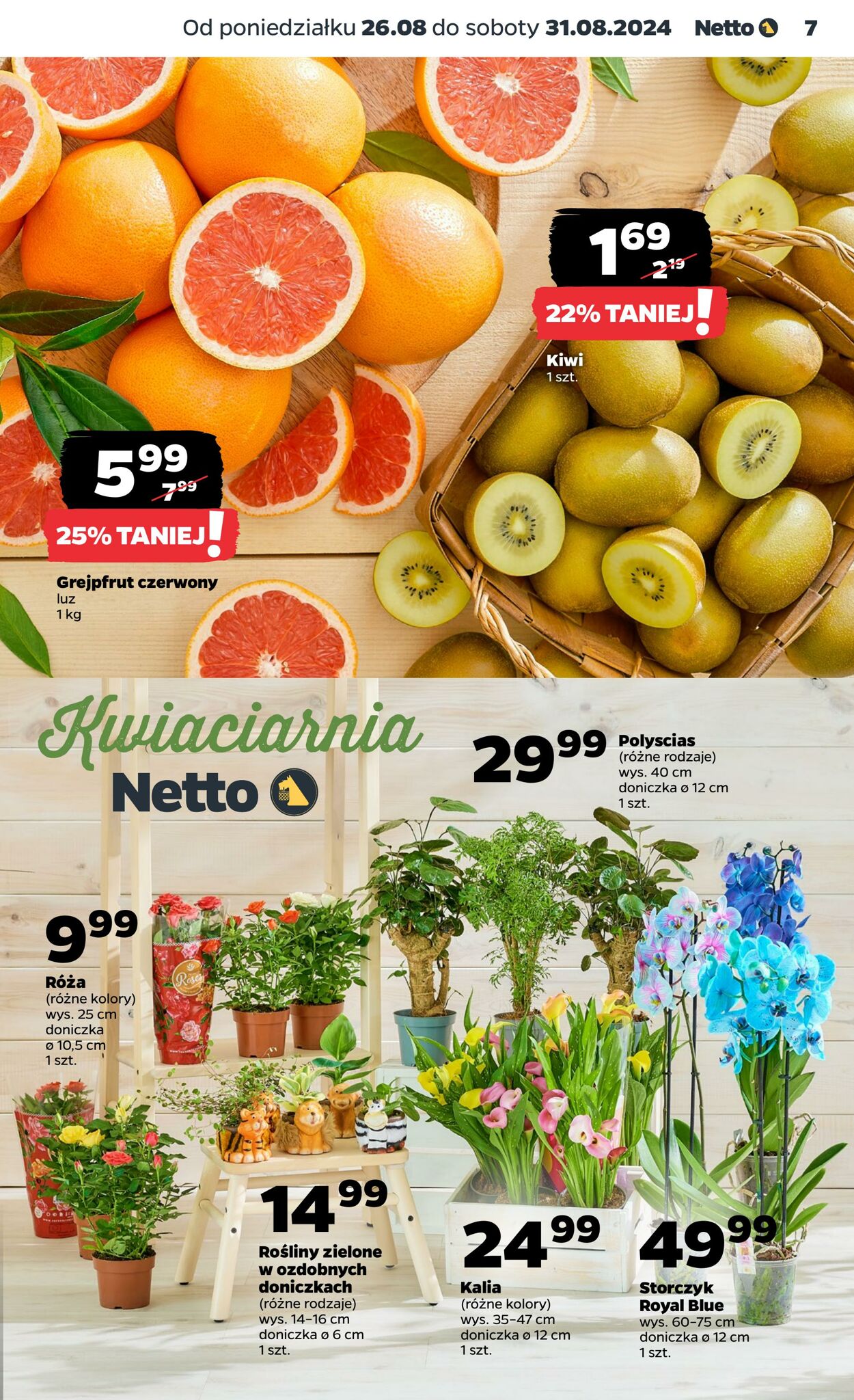 Gazetka Netto 26.08.2024 - 31.08.2024