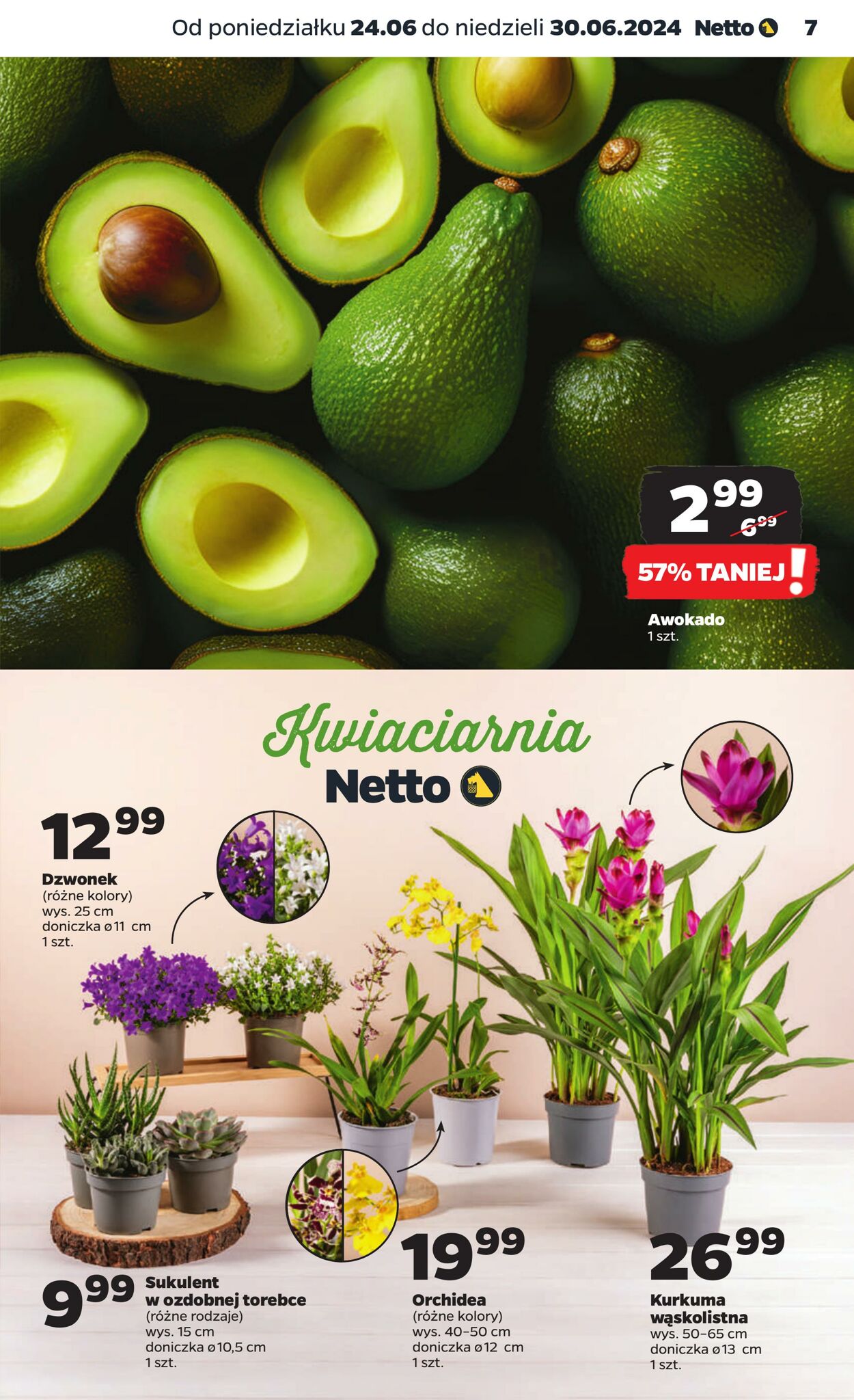 Gazetka Netto 24.06.2024 - 30.06.2024