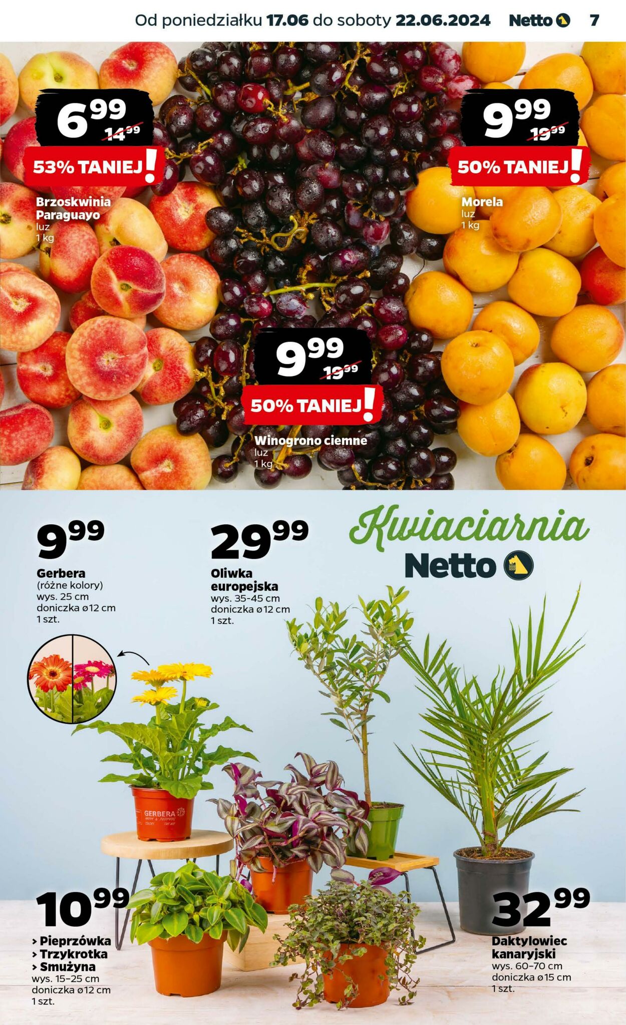 Gazetka Netto 17.06.2024 - 22.06.2024