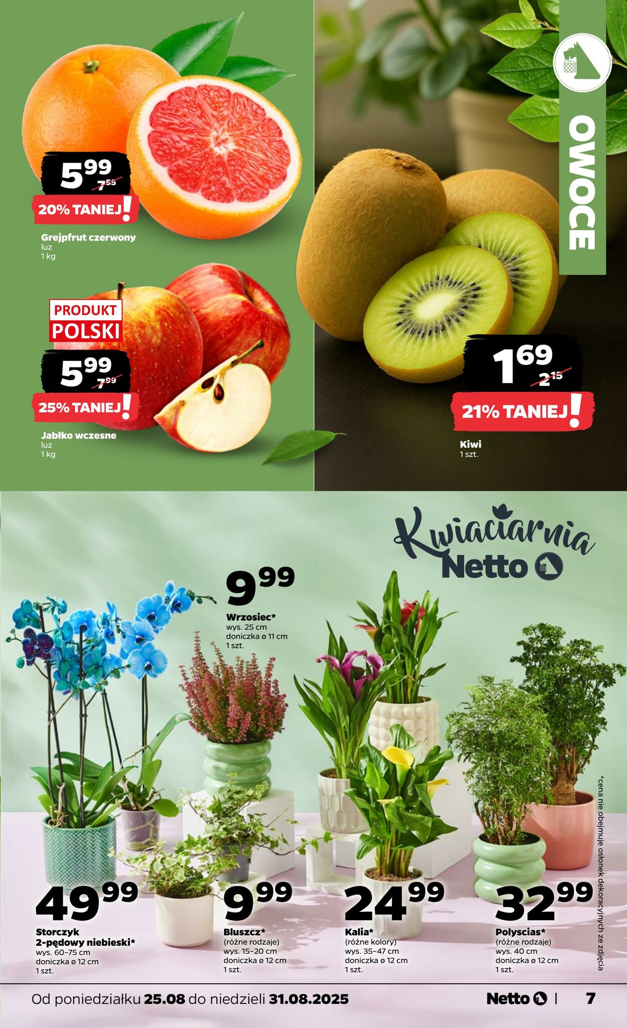 Gazetka Netto 25.08.2025 - 31.08.2025