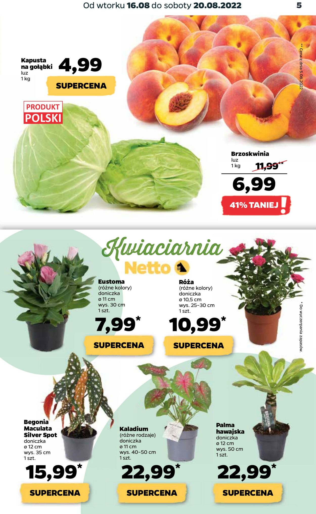 Gazetka Netto 16.08.2022 - 20.08.2022