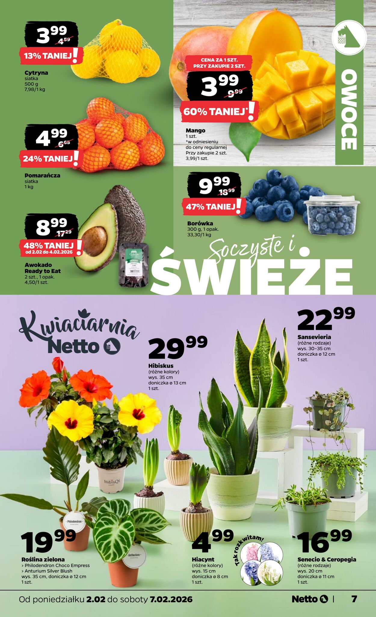 Gazetka Netto 01.02.2026 - 07.02.2026