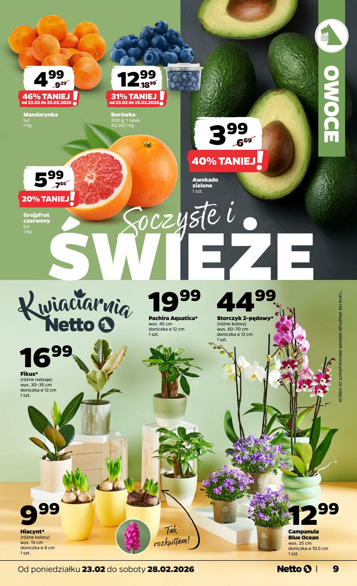 Gazetka Netto 22.02.2026 - 28.02.2026