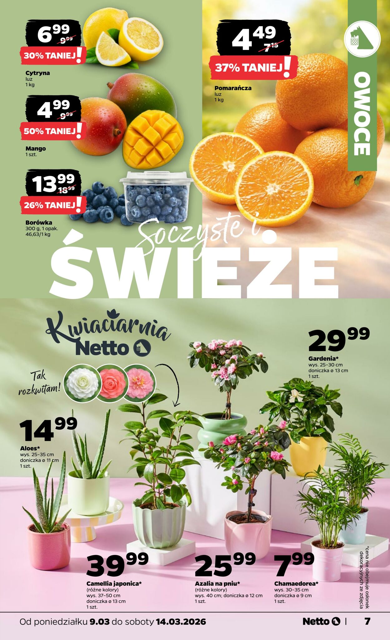 Gazetka Netto 08.03.2026 - 14.03.2026