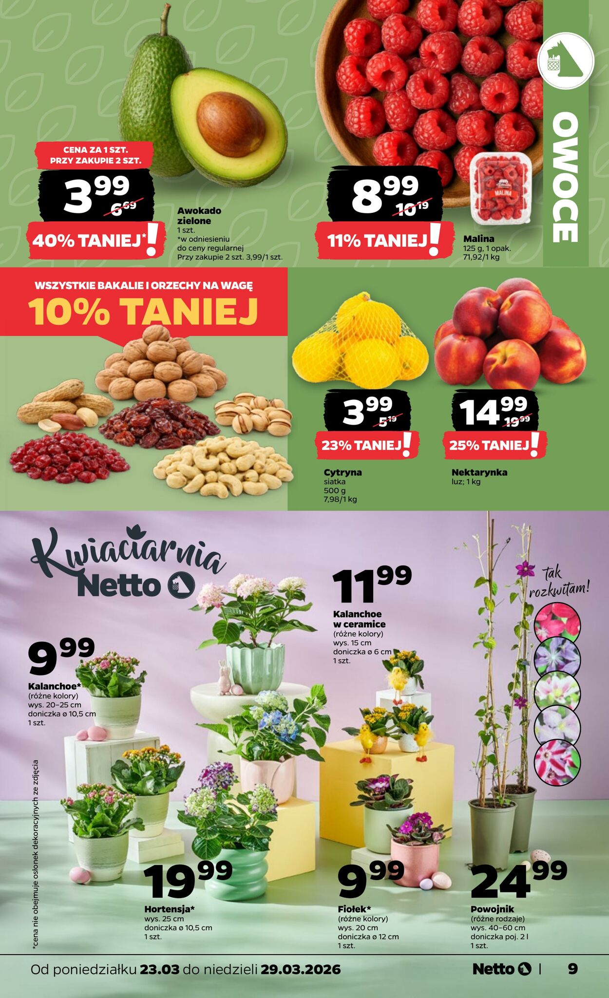 Gazetka Netto 22.03.2026 - 29.03.2026