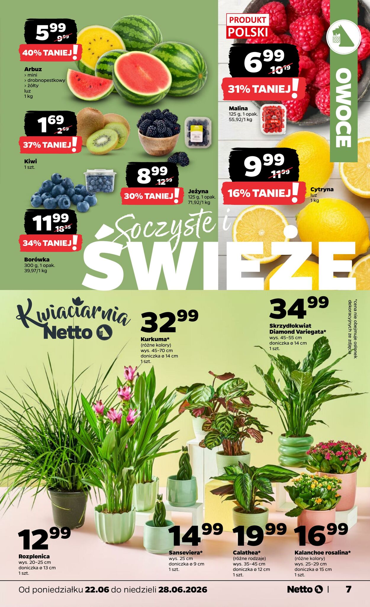Gazetka Netto 21.06.2026 - 28.06.2026