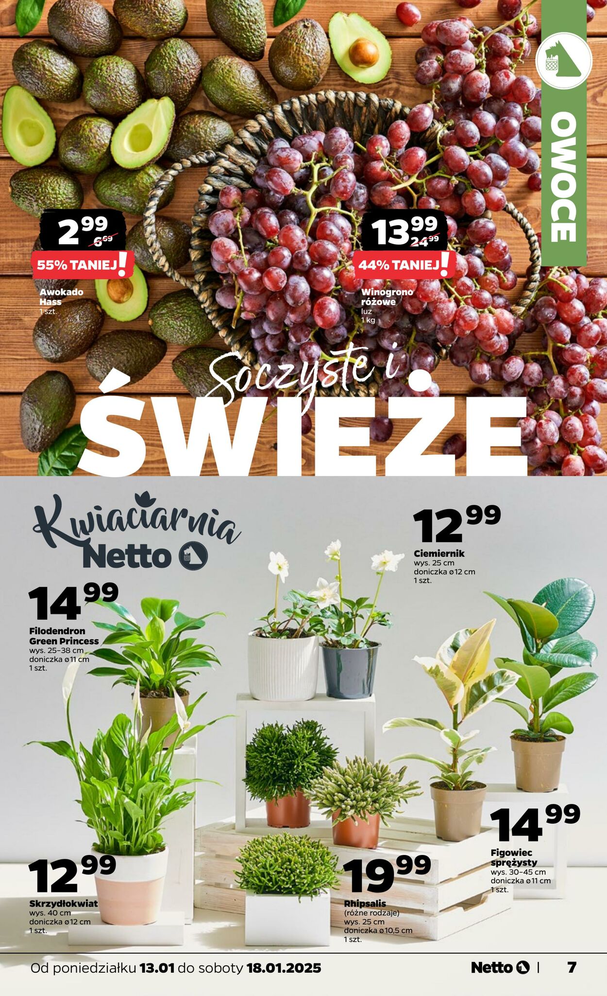 Gazetka Netto 13.01.2025 - 18.01.2025