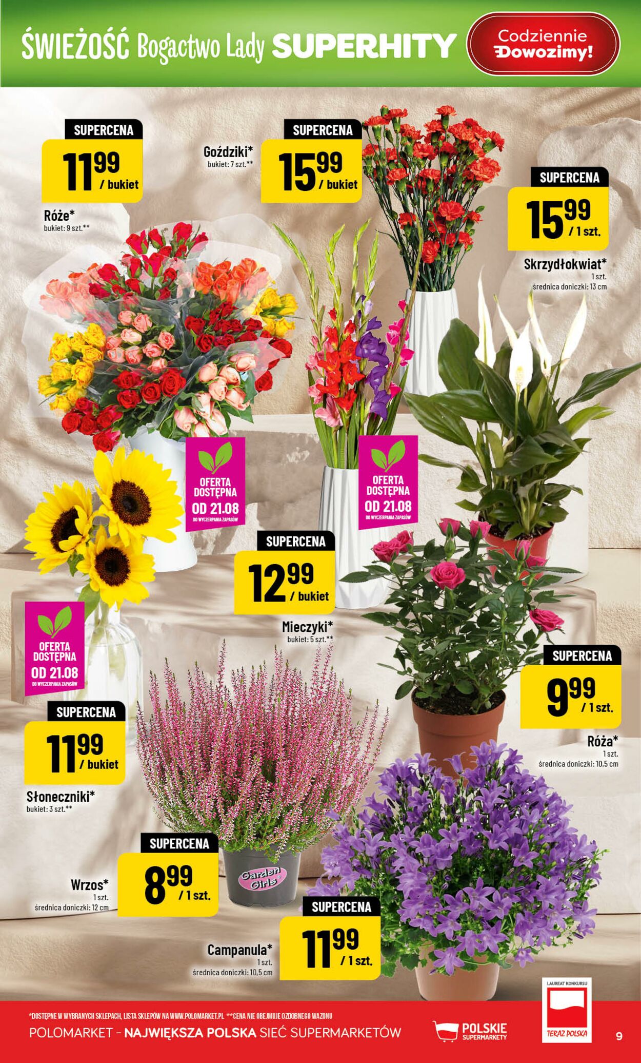 Gazetka POLOmarket 19.08.2026 - 25.08.2026
