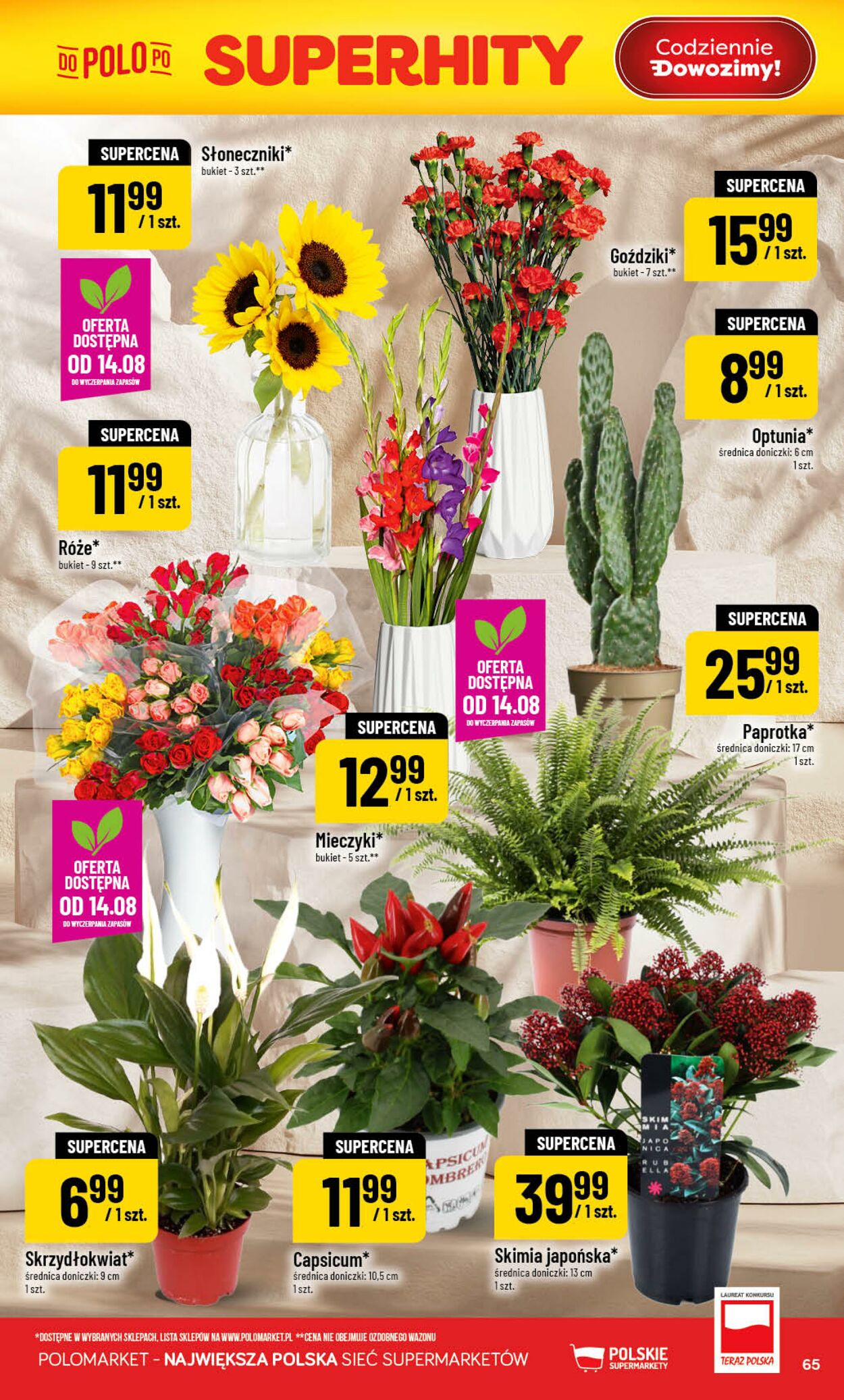 Gazetka POLOmarket 12.08.2026 - 18.08.2026