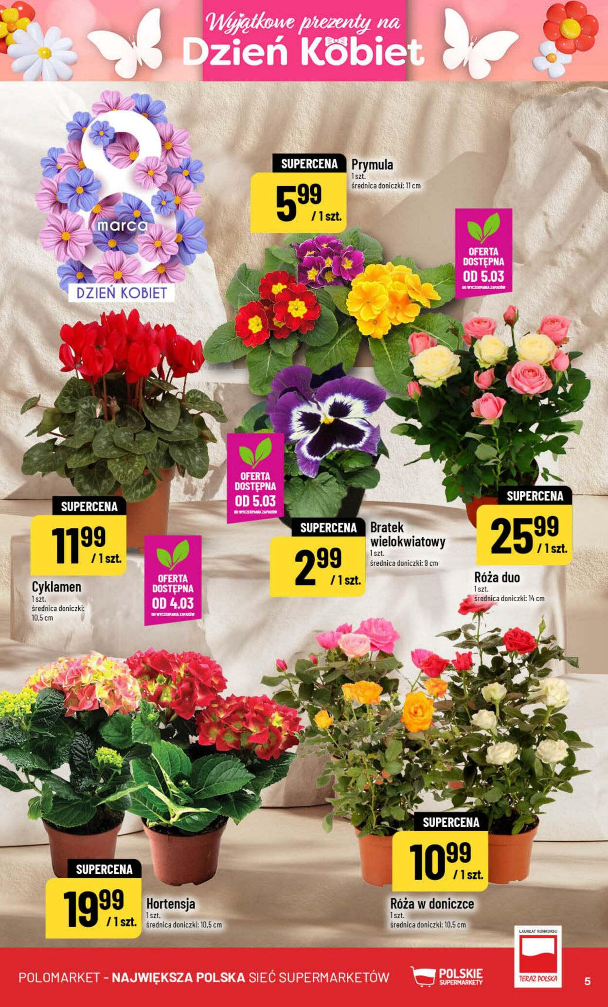 Gazetka POLOmarket 04.03.2026 - 10.03.2026