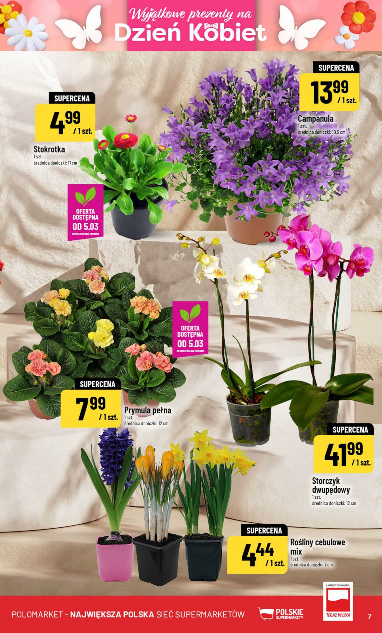 Gazetka POLOmarket 04.03.2026 - 10.03.2026