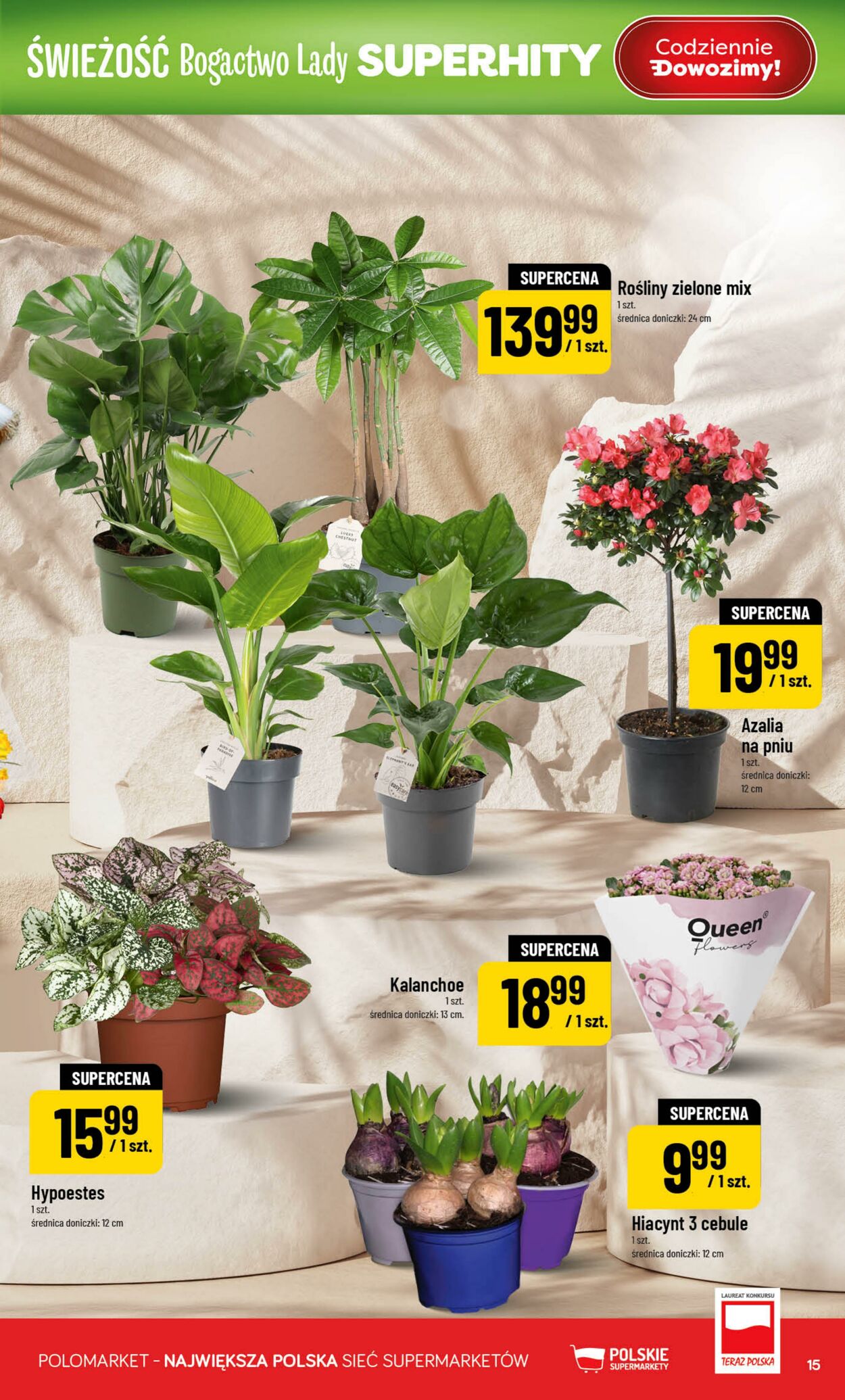 Gazetka POLOmarket 25.02.2026 - 03.03.2026