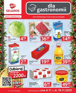 Gazetka Selgros 06.11.2025 - 19.11.2025