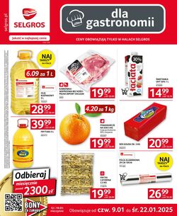 Gazetka Selgros 09.01.2025 - 22.01.2025