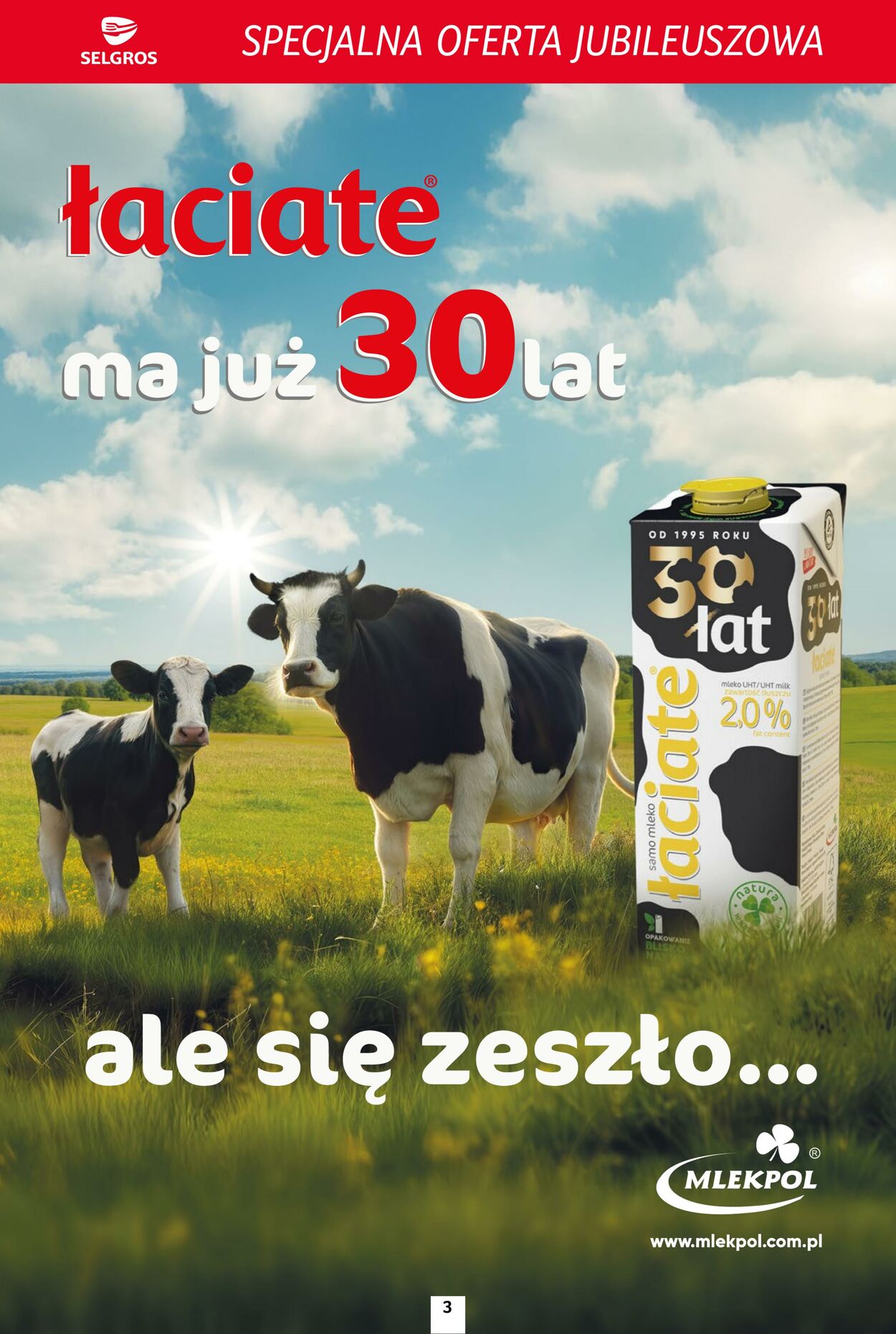Gazetka Selgros 06.11.2025 - 19.11.2025