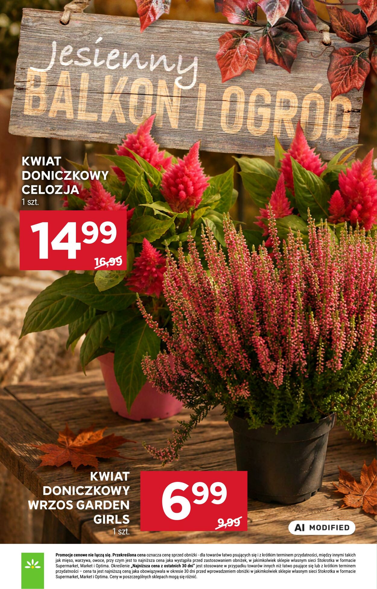 Gazetka Stokrotka 03.09.2026 - 09.09.2026