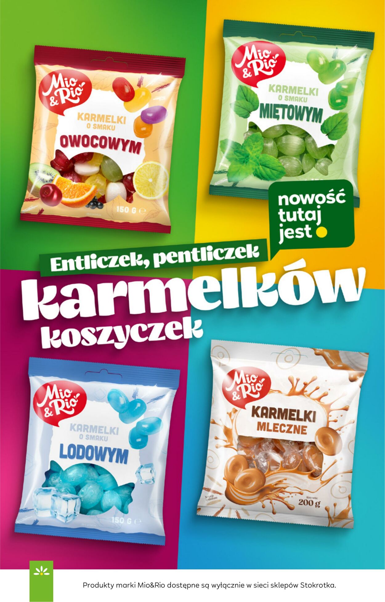 Gazetka Stokrotka 06.11.2025 - 12.11.2025