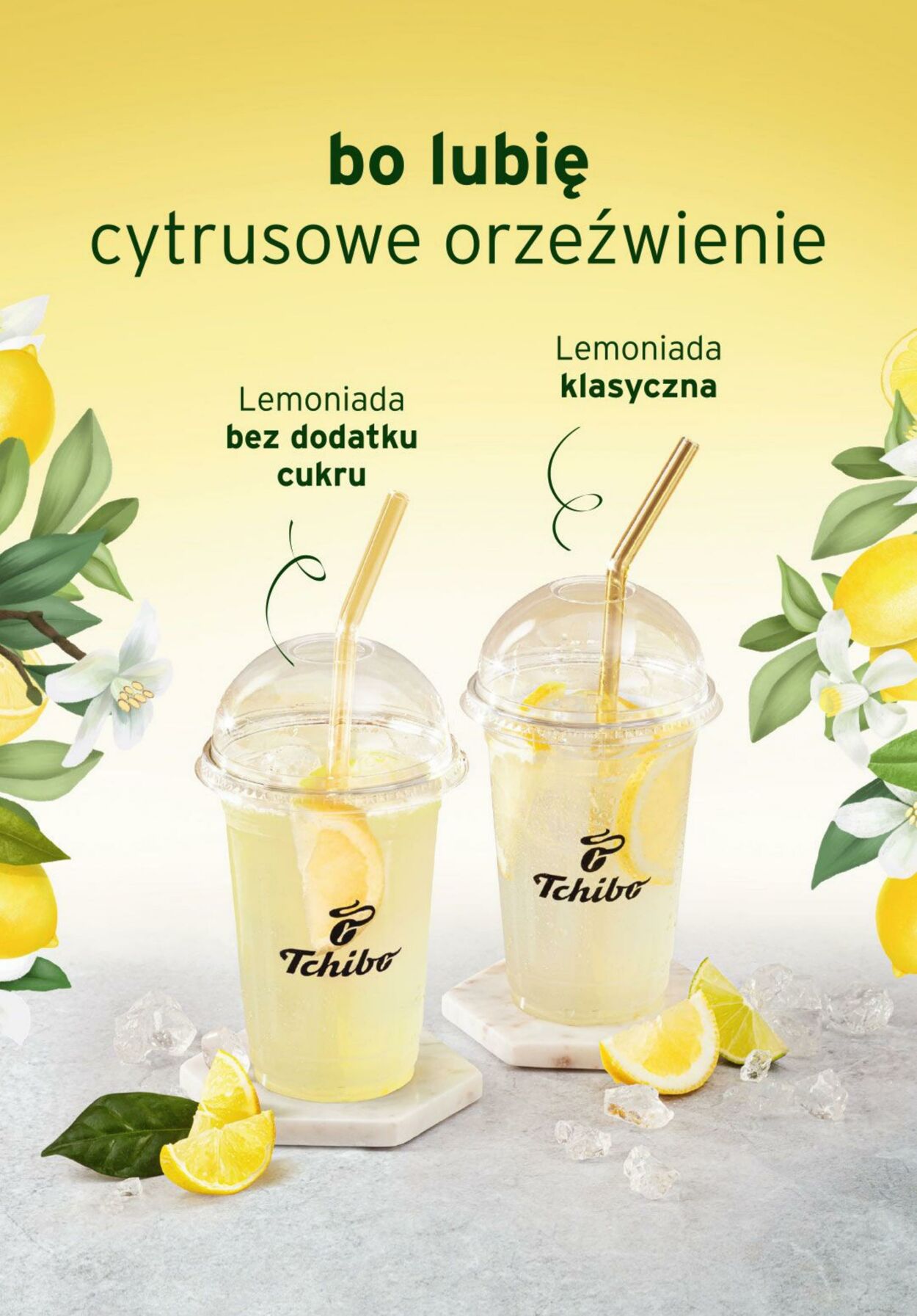 Gazetka Tchibo 22.07.2025 - 24.08.2025