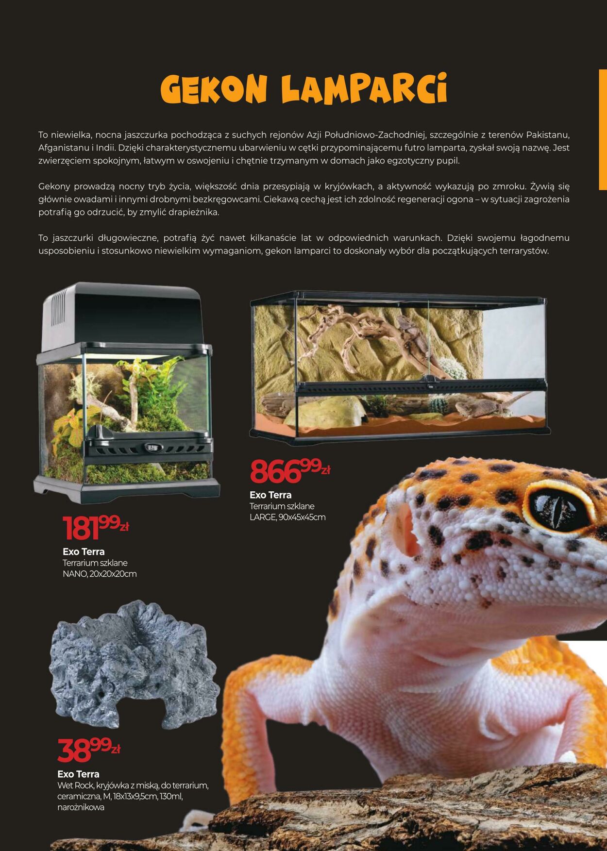 Gazetka ZOO Karina 29.07.2025 - 31.07.2025